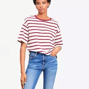Loft 100% Cotton Modern Striped Tee